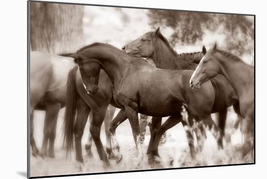 The Herd-Lisa Dearing-Mounted Photographic Print