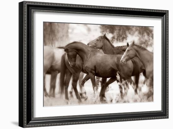 The Herd-Lisa Dearing-Framed Photographic Print