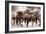 The Herd-Lisa Dearing-Framed Photographic Print