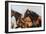 The Herd-Renee Gould-Framed Giclee Print