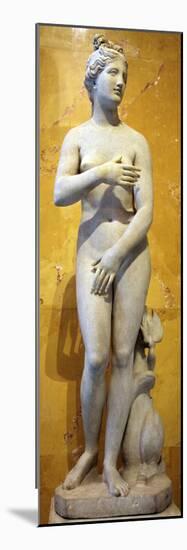 The 'Heritage' Venus, Italian, 19th Century-null-Mounted Photographic Print