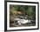 The Hermitage, Pitlochry, Tayside, Scotland, United Kingdom-Roy Rainford-Framed Photographic Print