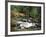 The Hermitage, Pitlochry, Tayside, Scotland, United Kingdom-Roy Rainford-Framed Photographic Print