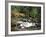 The Hermitage, Pitlochry, Tayside, Scotland, United Kingdom-Roy Rainford-Framed Photographic Print