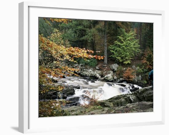 The Hermitage, Pitlochry, Tayside, Scotland, United Kingdom-Roy Rainford-Framed Photographic Print