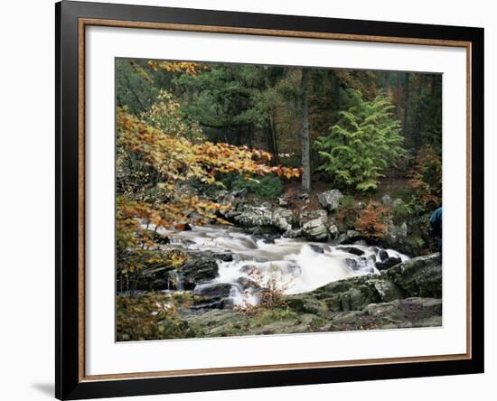 The Hermitage, Pitlochry, Tayside, Scotland, United Kingdom-Roy Rainford-Framed Photographic Print