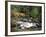 The Hermitage, Pitlochry, Tayside, Scotland, United Kingdom-Roy Rainford-Framed Photographic Print