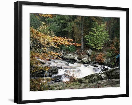 The Hermitage, Pitlochry, Tayside, Scotland, United Kingdom-Roy Rainford-Framed Photographic Print