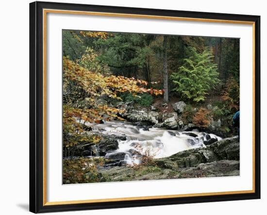 The Hermitage, Pitlochry, Tayside, Scotland, United Kingdom-Roy Rainford-Framed Photographic Print