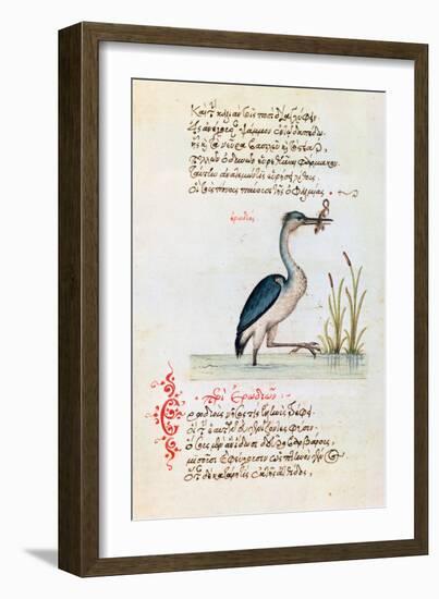 The Heron, 1564-null-Framed Giclee Print