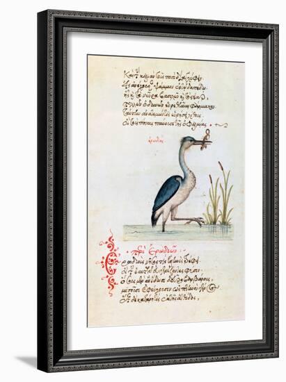 The Heron, 1564-null-Framed Giclee Print