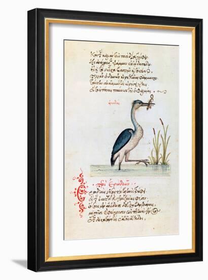 The Heron, 1564-null-Framed Giclee Print