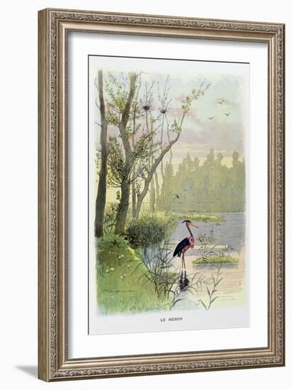 The Heron, La Fontaine's Fables-Firmin Bouisset-Framed Art Print