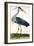 The Heron Plate from "The British Zoology Class II: Birds"-Peter Paillou-Framed Giclee Print