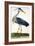 The Heron Plate from "The British Zoology Class II: Birds"-Peter Paillou-Framed Giclee Print