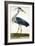 The Heron Plate from "The British Zoology Class II: Birds"-Peter Paillou-Framed Giclee Print