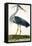 The Heron Plate from "The British Zoology Class II: Birds"-Peter Paillou-Framed Premier Image Canvas