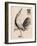 The Heron-Mark Rogan-Framed Art Print