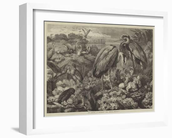 The Heronry at Didlington Park, Norfolk-Samuel John Carter-Framed Giclee Print