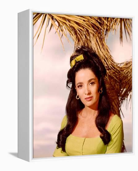 The High Chaparral-null-Framed Stretched Canvas