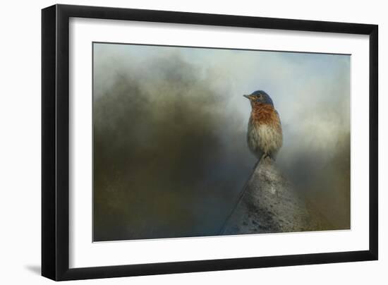 The Highest Point-Jai Johnson-Framed Giclee Print