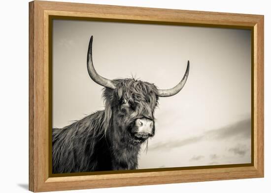 The Highlands 3-Mark Gemmell-Framed Premier Image Canvas
