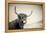 The Highlands 3-Mark Gemmell-Framed Premier Image Canvas