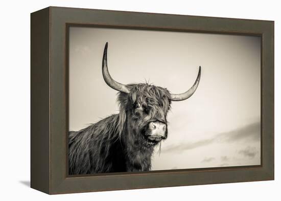 The Highlands 3-Mark Gemmell-Framed Premier Image Canvas