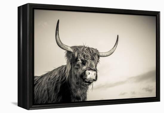 The Highlands 3-Mark Gemmell-Framed Premier Image Canvas