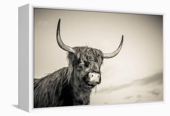 The Highlands 3-Mark Gemmell-Framed Premier Image Canvas