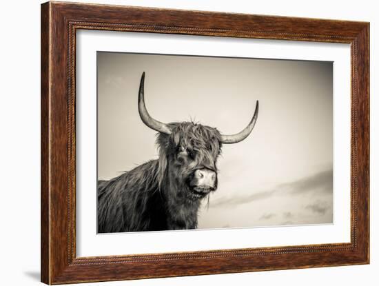 The Highlands 3-Mark Gemmell-Framed Photographic Print