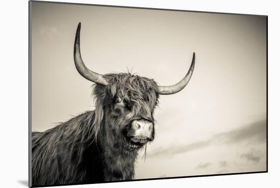 The Highlands 3-Mark Gemmell-Mounted Photographic Print