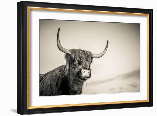 The Highlands 3-Mark Gemmell-Framed Photographic Print