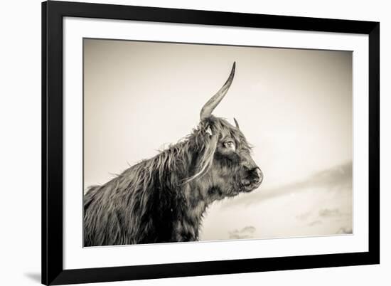 The Highlands 4-Mark Gemmell-Framed Photographic Print