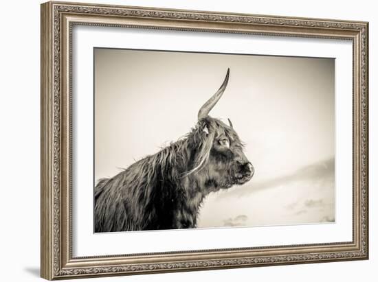 The Highlands 4-Mark Gemmell-Framed Photographic Print