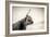 The Highlands 4-Mark Gemmell-Framed Photographic Print