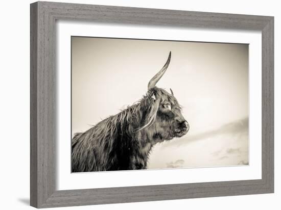 The Highlands 4-Mark Gemmell-Framed Photographic Print