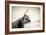 The Highlands 4-Mark Gemmell-Framed Photographic Print