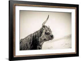 The Highlands 4-Mark Gemmell-Framed Photographic Print
