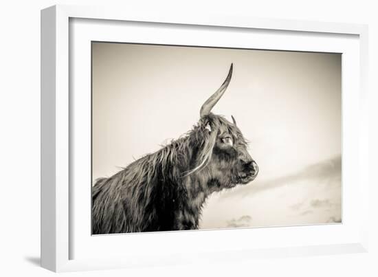 The Highlands 4-Mark Gemmell-Framed Photographic Print