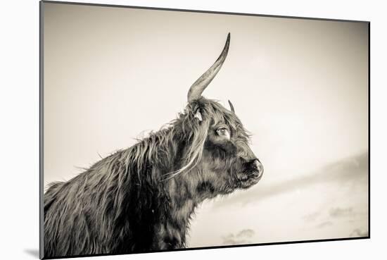 The Highlands 4-Mark Gemmell-Mounted Photographic Print