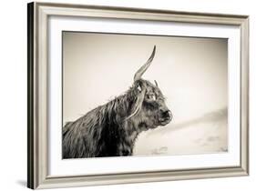 The Highlands 4-Mark Gemmell-Framed Photographic Print