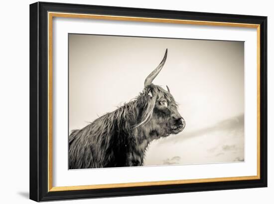 The Highlands 4-Mark Gemmell-Framed Photographic Print