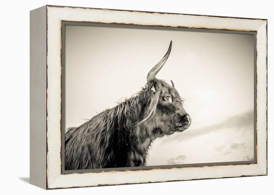 The Highlands 4-Mark Gemmell-Framed Premier Image Canvas