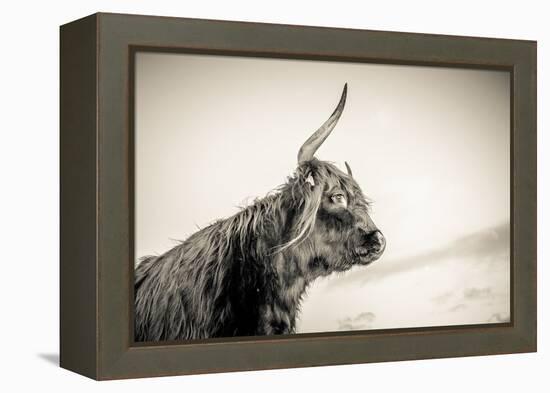 The Highlands 4-Mark Gemmell-Framed Premier Image Canvas