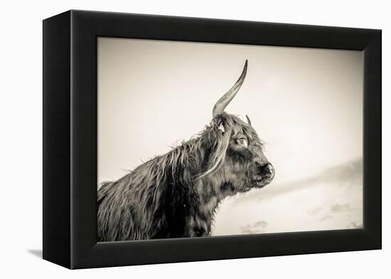 The Highlands 4-Mark Gemmell-Framed Premier Image Canvas