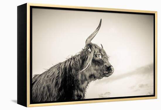 The Highlands 4-Mark Gemmell-Framed Premier Image Canvas