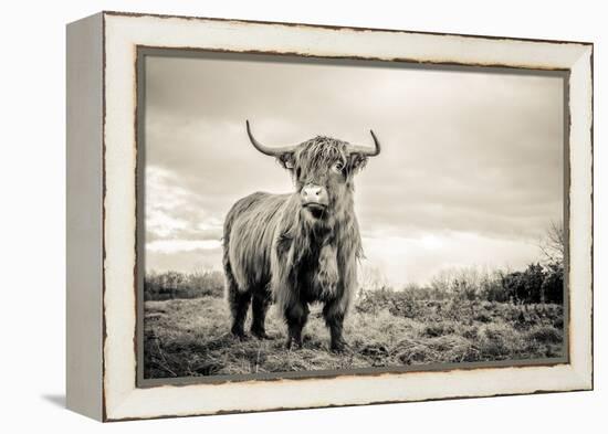 The Highlands-Mark Gemmell-Framed Premier Image Canvas