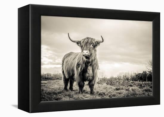 The Highlands-Mark Gemmell-Framed Premier Image Canvas