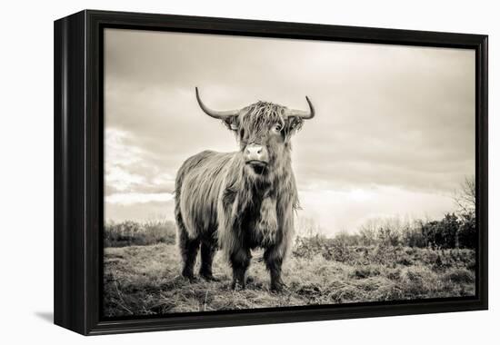 The Highlands-Mark Gemmell-Framed Premier Image Canvas